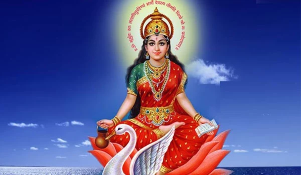 pandit for jaap